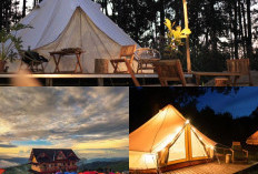 Menyatu dengan Alam, Perbedaan Utama Antara Glamping dan Camping!