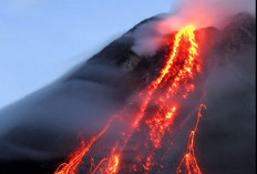 Kisah Mistis di Balik Keindahan Gunung Agung: Antara Kera Putih dan Larangan Sapi