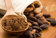 5 Manfaat Cokelat Bubuk Untuk Kesehatan Jantung Menjaga Fungsi Kardiovaskular
