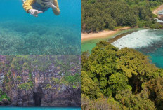 Berpetualang di Pulau Sangiang, Gua Kelelawar, Snorkeling, dan Panorama Zenit Asa