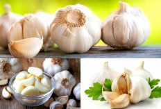  Cegah Penyakit? Inilah 7 Manfaat Bawang Putih yang Sudah Terbukti!