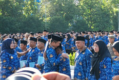 Ribuan PPPK Paruh Waktu Terima SK