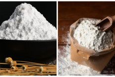 Sayang untuk Dilewatkan! Inilah 6 Manfaat Sagu bagi Kesehatan 