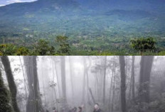 Larangan yang Harus Diikuti Saat Berada di Gunung Betung, Berikut Ulasannya!!!