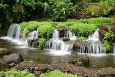 Tawarkan Keindahan Alami, Udara Pegunungan yang Segar