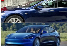 Tesla Model Terbaru Bikin Heboh, Ini Fakta Menarik yang Wajib Kamu Tahu