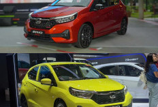 Honda Brio Satya Tetap Unggul di Segmen LCGC, Penjualan Stabil