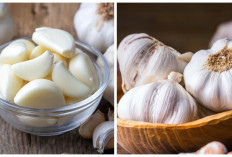 Yuk Cari Tahu! Manfaat Bawang Putih Mentah bagi Kesehatan Tubuh