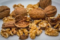 Apa Itu Kacang Walnut? Menggali 5 Khasiat Kacang Walnut Manfaat Luar Biasa Untuk Kesehatan 