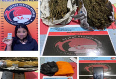 Satresnarkoba Polres Pagar Alam Tangkap Pengedar Ganja