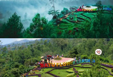 10 Destinasi Wisata Keluarga Seru di Kota Batu, Jawa Timur! Simak Rekomendasinya