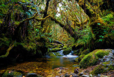 Inilah Fakta dan Misteri Gunung Leuser, Ada Apa?