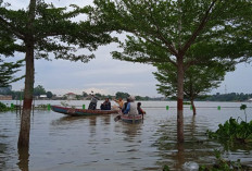 Ini Legenda Danau Sipin Di Jambi Menjadi Daya Tarik Tersendiri Bagi Pengunjung