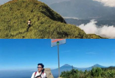 Menikmati Pemandangan Spektakuler dari Puncak Gunung Ungaran yang Memukau, Simak!