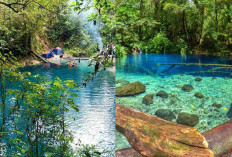 Legenda Danau Kaco, Cinta Tragis Raja Gagak dan Putri Napal Melintang!