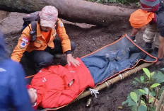 12 Jam Terjebak, 3 Pendaki Berhasil Diselamatkan, Evakuasi Dramatis di Jalur Dempo