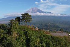 Pendakian Gunung Wayang, Menelusuri Keindahan dan Mitos di Balik Gunung Tertinggi di Bandung