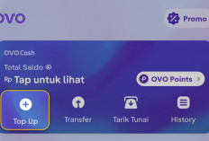 Dapatkan Hadiah Saldo OVO bersama DompetQ, Ini Penjelasanya!