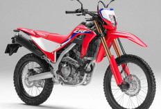 Honda CRF250 Rally 2024, Motor Petualangan Tangguh dengan Harga Terbaru