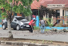 Diterpa Angin Kencang, Ranting Pohon Tumbang Tumbang ke Jalan