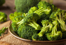 Pernah Coba? Ini Dia 5 Manfaat Brokoli Sayuran Hijau Yang Tak Tergantikan, Cek Faktanya!