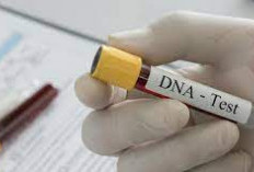 Apa Itu Tes DNA? Yuk Intip 6 Menjelajahi Tes DNA Untuk Kesehatan dan Kecocokan Genetik Anda!