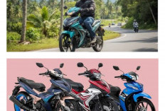 Motor Bebek Trail Terbaik 2026: Nyaman Untuk Harian Atau Petualangan, Tangguh di Hutan & Irit di Jalan Rayajud