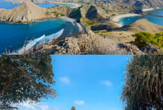 Kepulauan Seribu, 10 Pantai Paling Indah yang Patut Dikunjungi!
