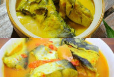 Yuk Nikmati Gulai Ikan Patin Jambi Lembutnya Ikan Kaya Rempah yang Bikin Makin Lahap