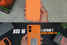 Jangan Anggap Remeh! Bedah Spesifikasi Infinix Smart 20: Murah Harganya, Mewah Fiturnya
