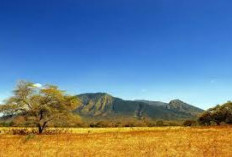 Pendakian Gunung Balayan, Menantang Batas dan Menemukan Keindahan yang Memukau