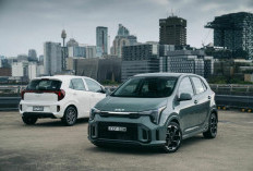 Kia Picanto Facelift vs Honda Brio dan Agya, Perang Kecil di Dunia Hatchback! Ini Selengkapnya!