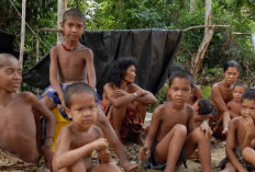 Membuka Sejarah dan Mitos Asal-Usul Suku Anak Dalam Jambi, Simak Ini Penjelasanya