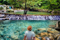 Lembah Tepus Bogor, Surga Tersembunyi untuk Trekking dan Healing!