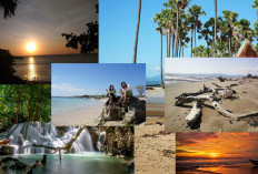 7 Destinasi Wisata Pantai di Kupang Wilayah Timur Indonesia, Menawarkan Kesejukan dan Ketenangan,Ini Ulasannya
