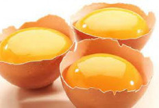 Pentingnya Gizi Seimbang! Ini Dia 5 Peran Kuning Telur dalam Menu Makan Sehat