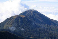 Menaklukkan Gunung Arjuno-Welirang: Proses Izin dan Panduan Jalur Pendakian