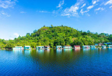 Keindahan Alam Taman Nasional Danau Sentarum, Kapuas Hulu Kalimantan Barat