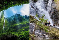 Keindahan Alam Lombok, 5 Air Terjun yang Wajib Dikunjungi!