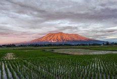 Gunung Ambun Keindahan dan Pesona Alam yang Tersembunyi di Sumatera Barat