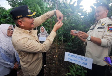 Nikmati Keuntungan dari Program Stek Kopi