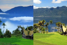 Mempesona Inilah Wisata Persawahan di Sumatera Barat Memukau! 