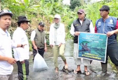 Alumni SMANstupa 95 Tebar 6.500 Ekor Bibit Mujahir 