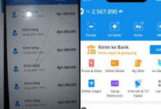 Bagaimana Cara Menghasilkan Uang Rp150 Ribu dengan Aplikasi Penghasil DANA?