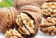 Jarang Tahu, Ternyata Ini 5 Keseimbangan Kolesterol Dengan Konsumsi Rutin Kacang Walnut