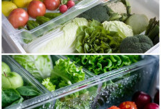 Kulkas Terlalu Dingin Bikin Sayur Beku? Begini Pengaturan Suhu yang Benar untuk Ibu Rumah Tangga