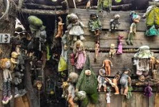 Banyak yang Nggak Tau! Di Huni Ratusan Boneka, Pulau misterius di Meksiko