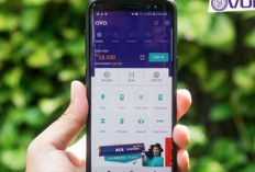 Begini Cara Top Up atau Isi Ulang Saldo OVO dengan Mudah