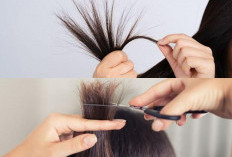 Tak Perlu ke Salon, Inilah 5 Panduan Lengkap Cara Mengatasi Rambut Bercabang