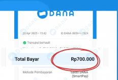 Cairkan Rp687.000 ke DANA Hanya dengan Main 10 Game Seru Ini! Terbukti Membayar!